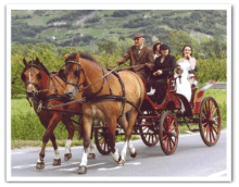 Promenade et Mariage en Cal�che - Gaillard Georges